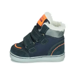 Citrouille et Compagnie - PALADIN