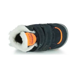 Citrouille et Compagnie - PALADIN