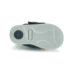 Citrouille et Compagnie - PALADIN