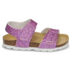 Citrouille et Compagnie - BELLI JOE Rose Best