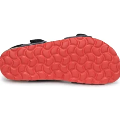 Citrouille et Compagnie - BELLI JOE Hot