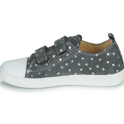 Citrouille et Compagnie - NADIR