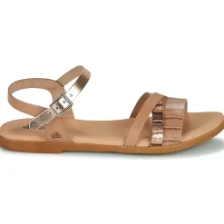 Discount Citrouille et Compagnie - OBINOU Tandoré