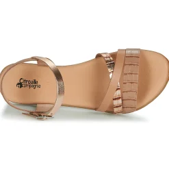 Discount Citrouille et Compagnie - OBINOU Tandoré