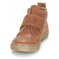 Citrouille et Compagnie - FOJAMO Camel Hot