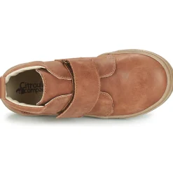 Citrouille et Compagnie - FOJAMO Camel Hot