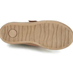 Citrouille et Compagnie - FOJAMO Camel Hot