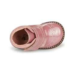 Citrouille et Compagnie - PROYAL Rosevernis Hot