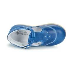 Citrouille et Compagnie - GODOLO Bleu