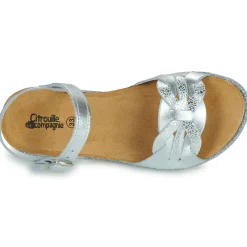 Online Citrouille et Compagnie - ANEMONI Argent