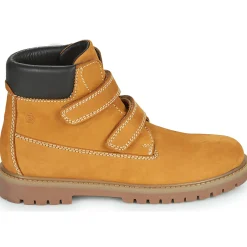 Citrouille et Compagnie - PAXA Camel Clearance