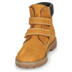 Citrouille et Compagnie - PAXA Camel Clearance