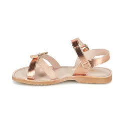 Citrouille et Compagnie - JISCOTTE Bronze Discount