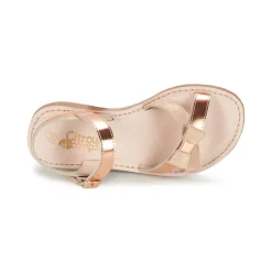 Citrouille et Compagnie - JISCOTTE Bronze Discount