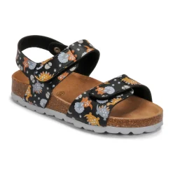 Citrouille et Compagnie - SUPERDAY