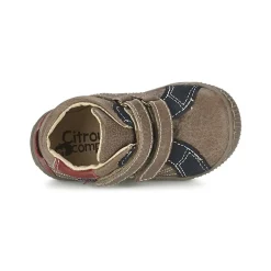 Citrouille et Compagnie - THEO