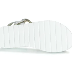 Citrouille et Compagnie - JIMINITE