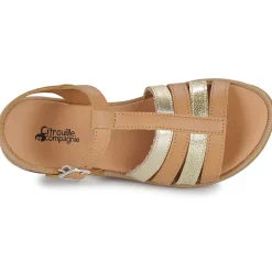 Online Citrouille et Compagnie - MIMOSA Camel