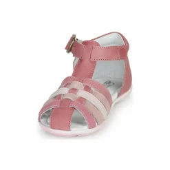 Best Citrouille et Compagnie - RINE