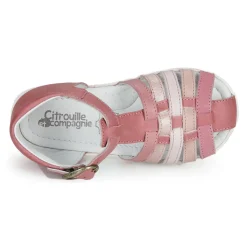 Best Citrouille et Compagnie - RINE