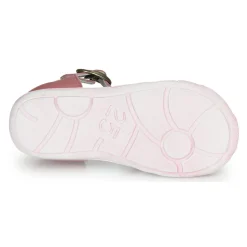 Best Citrouille et Compagnie - RINE