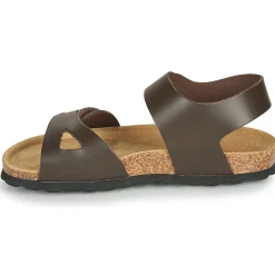 Citrouille et Compagnie - BELLI JOE Marron