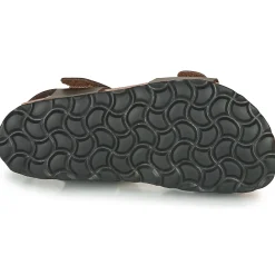 Citrouille et Compagnie - BELLI JOE Marron