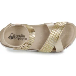 Citrouille et Compagnie - MARLYNE Doré Discount