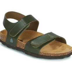 Citrouille et Compagnie - BELLI JOE