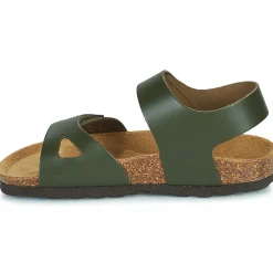 Citrouille et Compagnie - BELLI JOE