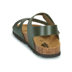 Citrouille et Compagnie - BELLI JOE