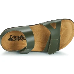 Citrouille et Compagnie - BELLI JOE