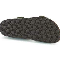 Citrouille et Compagnie - BELLI JOE