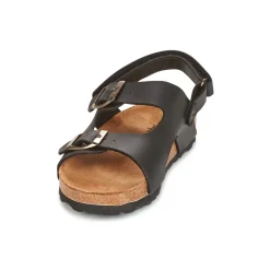 New Citrouille et Compagnie - KELATU