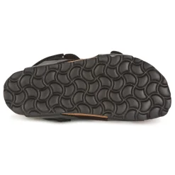 New Citrouille et Compagnie - KELATU