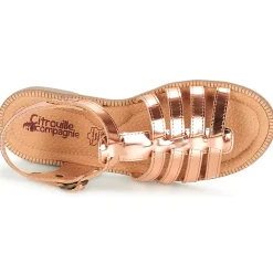 Outlet Citrouille et Compagnie - GROUFLA Bronze