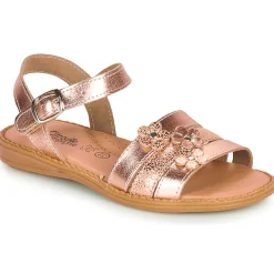 Online Citrouille et Compagnie - KATAGUE Bronze