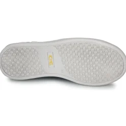 Citrouille et Compagnie - MISTELLE Marine Sale