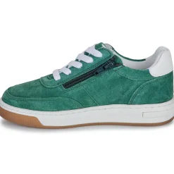 Best Citrouille et Compagnie - FITOU Green