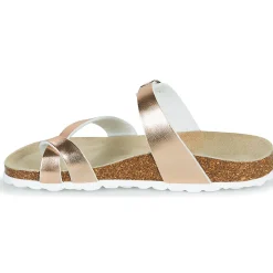 Online Citrouille et Compagnie - OMILA Rosedoré