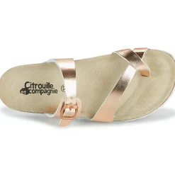 Online Citrouille et Compagnie - OMILA Rosedoré