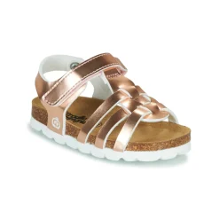 Citrouille et Compagnie - MALIA Rose Online