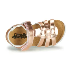 Citrouille et Compagnie - MALIA Rose Online