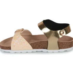 Citrouille et Compagnie - ARCENCIEL Doré Hot