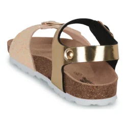 Citrouille et Compagnie - ARCENCIEL Doré Hot