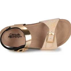 Citrouille et Compagnie - ARCENCIEL Doré Hot