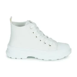 Citrouille et Compagnie - MODETTE