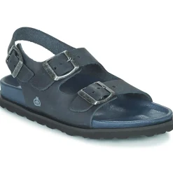 Citrouille et Compagnie - GLORIUS