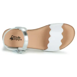 Citrouille et Compagnie - OBILO Blanc Online