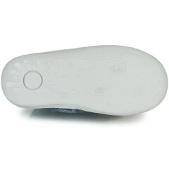 Citrouille et Compagnie - LOKO